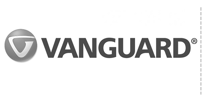 Vanguard world website